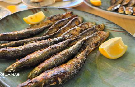 Villa Las Iguanas - Foto 52