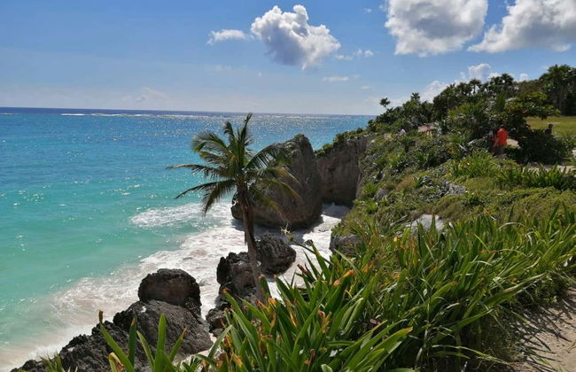 Tulum + Cenote + Escultura Ven a la Luz - Foto 2