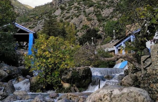 Maison Bahija - Photo 29