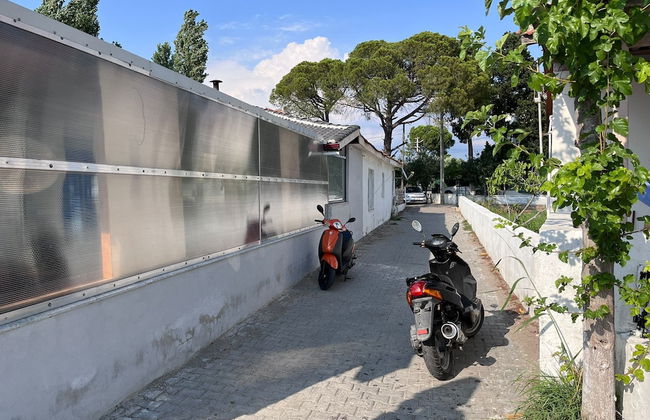 Sakran Bambo - Photo 11