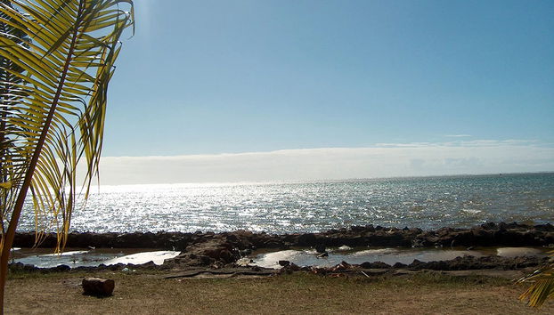 Recorrido por la ciudad y la playa Foulpoint - Foto 2