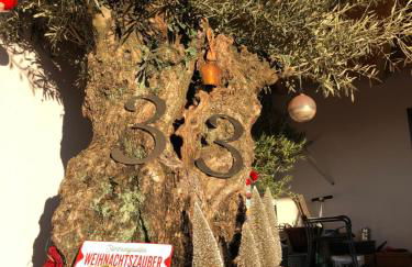 Ferienhaus HAAGALM - Foto 6