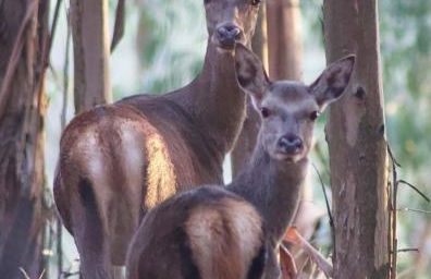 Casa Beatriz - Foto 43