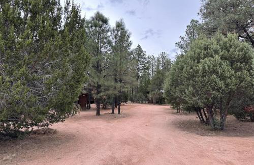 Western theme! Amazing Spa, Fireplace and Deck! - Foto 10