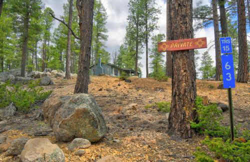 Serene 70s Retreat Near San Antonio Hot Springs - Foto 1