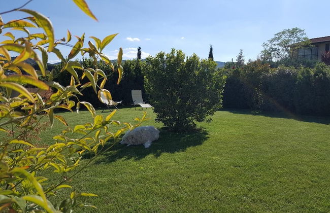 Agriturismo Podere Casa al Vento - Photo 49