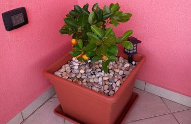 Veliki apartman Barbara s jacuzzijem za dvoje- Hreljin Crikvenica Rijeka - Foto 10