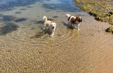 Augusta garden apartment - Foto 20