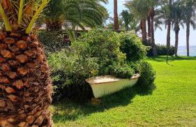 Sol Mediterráneo - Palm Beach 2 - Photo 36