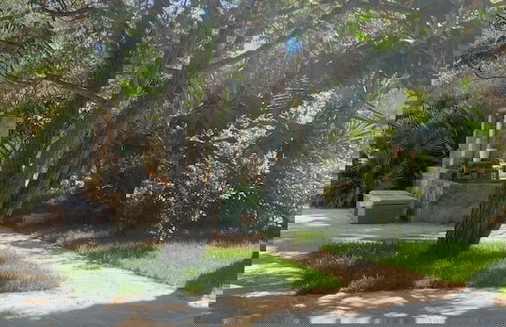 Tenuta Sidore - Photo 43