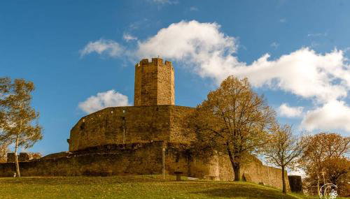LifeStyle Apartments am Steinsberg, Self Check In, Terrasse, Burg Blick - Foto 5