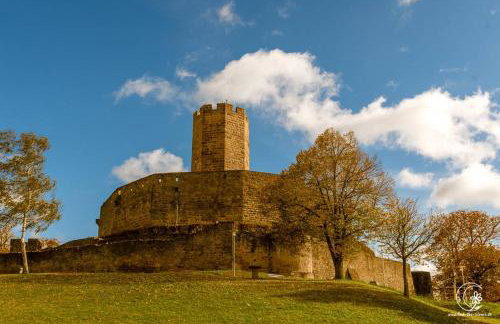 LifeStyle Apartments am Steinsberg, Self Check In, Terrasse, Burg Blick - Photo 5