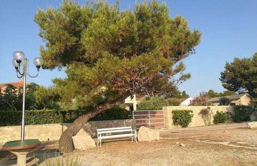 Apartments KUS Ugljan - Photo 54