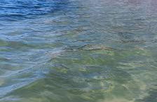 Modern Art Apartment 50m to the Beach - Foto 18