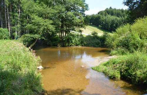 Luxus-Chalet Mühlberg - Foto 33