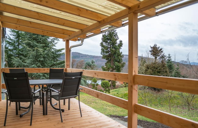 Modern Holiday Home With Shared Swimming Pool in Mittelndorf - Foto 36