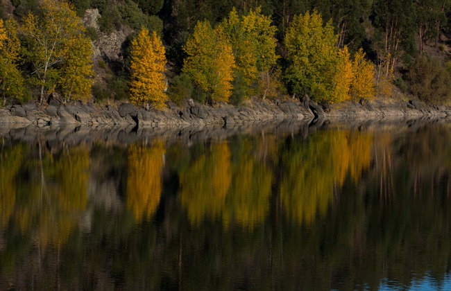 Paseo en barco por el Parque Natural del Duero Internacional - Foto 1