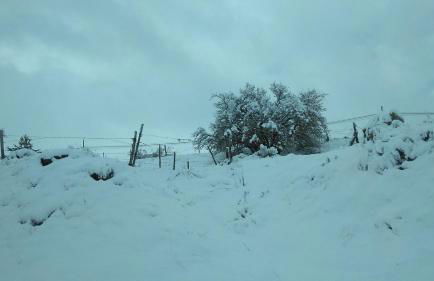 El Torreón I - Photo 32