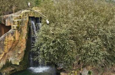 la villa des hortensias - Foto 16