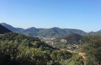 Guest house Festinalente - Foto 19