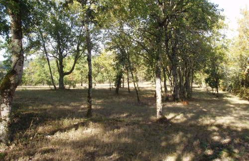 Cahors Countryside Retreat - Foto 8