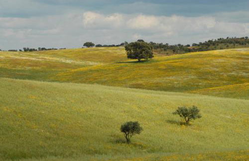 Casa da Aldeia - Foto 36