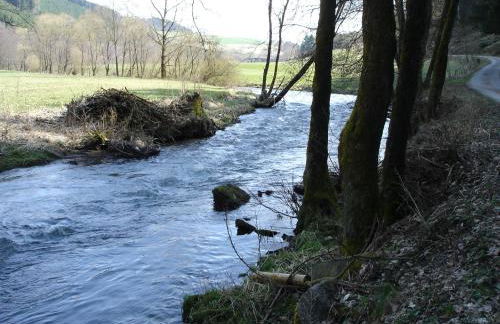 Ferienwohnung Schmallenberg - Foto 41