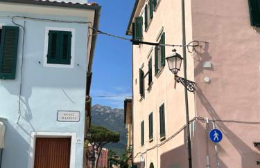 Agave Marina - Foto 11