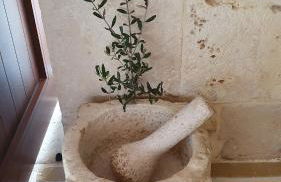 DIMORA PATRIZIA - Foto 7