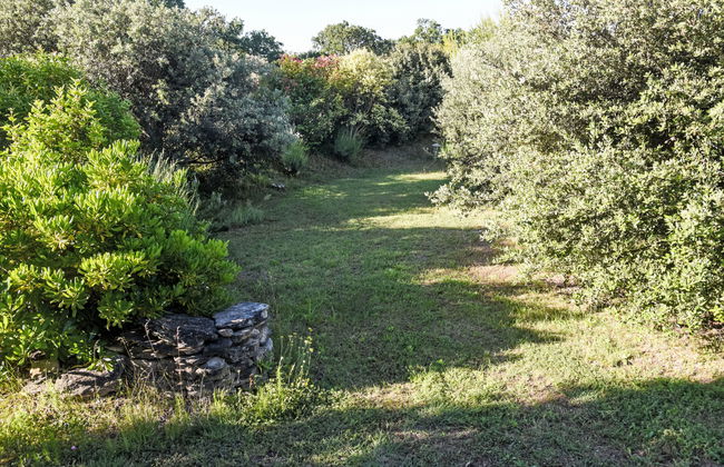 La Chênaie - Foto 45