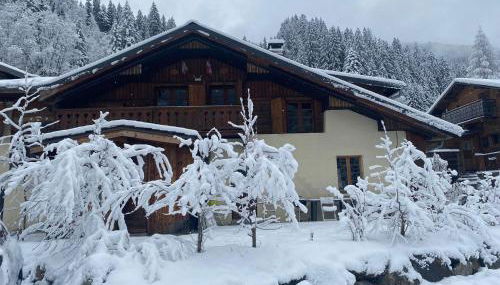 Joyeux Flocon - Spacieux chalet - Photo 2