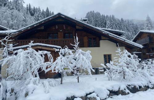 Joyeux Flocon - Spacieux chalet - Foto 2