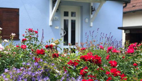 CASA LOFT & LaMansarda - Foto 4, Garden