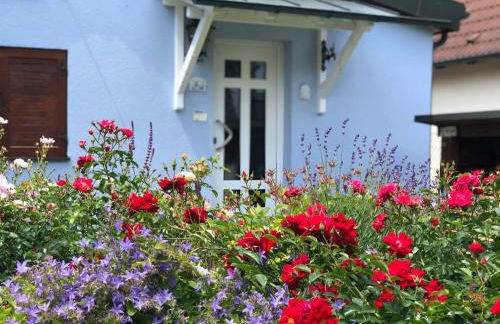 CASA LOFT & LaMansarda - Foto 4