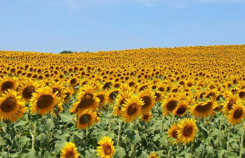 Casa De Campo - Foto 22