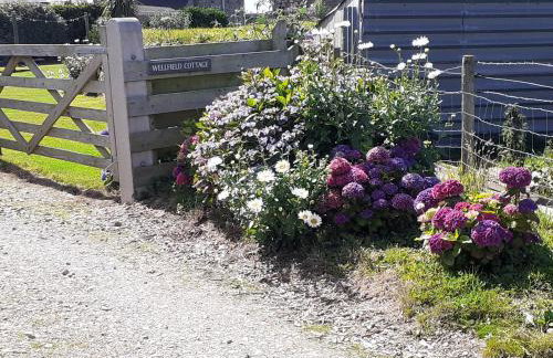 Wellfield Cottage - Photo 36