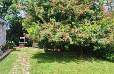 Villa Ofelia - Foto 10