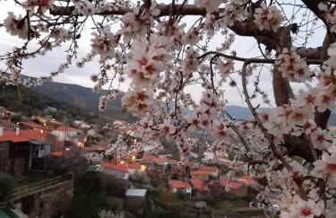 Bairro do Casal - Turismo d'Aldeia - Foto 56