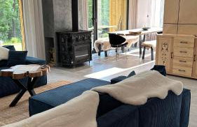 Forest Inn Berest - Foto 18