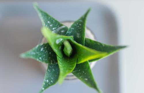 La piccola Severina - Foto 65