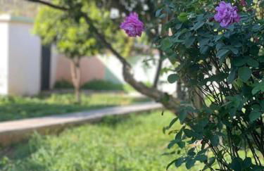 The Chill Casa - Foto 16