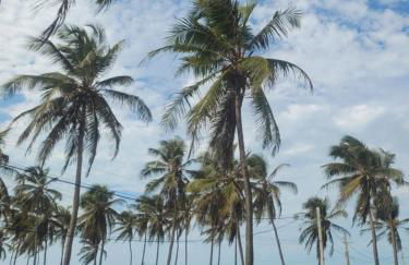 FLECHEIRAS ATLANTICO - Foto 15