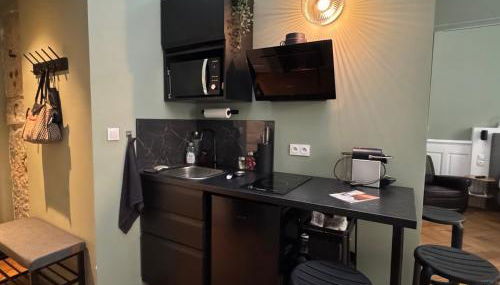 Studio de charme rénové en centre-ville, animaux admis - FR-1-555-123 - Foto 5