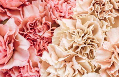 Apartamento FLORIDABLANCA - Foto 37