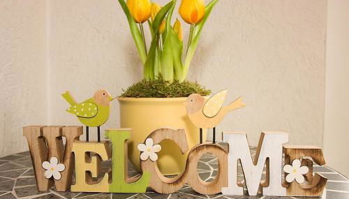 Gallowayhof am Edersee - Foto 2