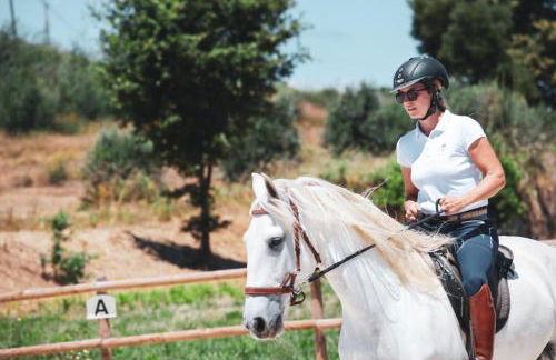 Quinta Lusitânia - Foto 44