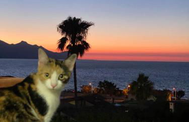 Villa Mare Giuggiola - Foto 16