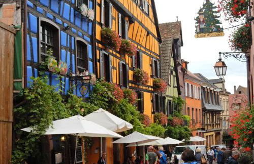 Apartment in Riquewihr near Vineyards - Foto 28