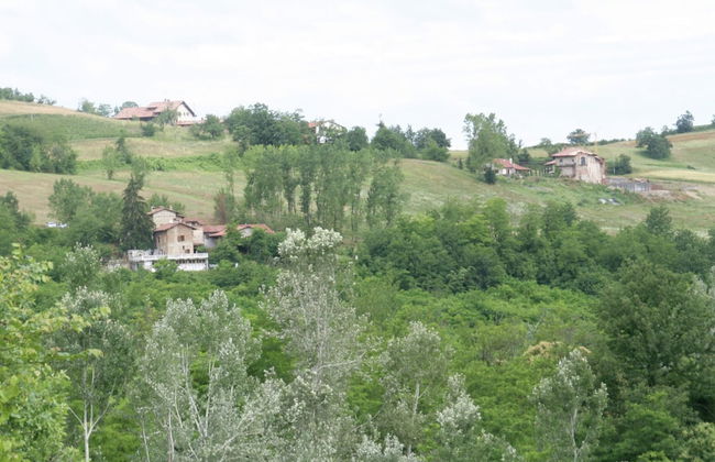 Mansion in Langhe Hills With Pool - Foto 27
