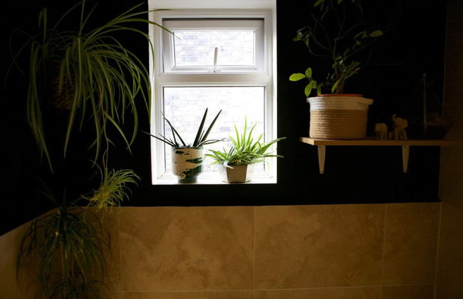 Inviting & Secluded 1BD House w/ Patio - Peckham! - Foto 9